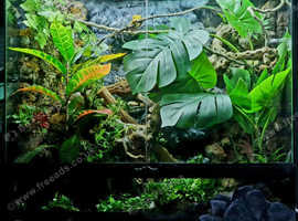 Zoo Med 90--45--90 Paludarium