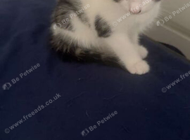 Female ready now