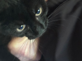 Russian black x boy 3 mnts bery affectionate