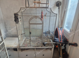 Bird cage for sale