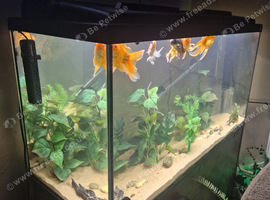 200 litre tank with accessories and fish