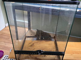 Exo Terra Glass Terrarium Small Tall 45 x 45 x 60cm