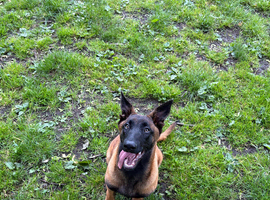 Beautiful boy cash