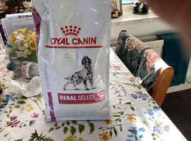 Dog food