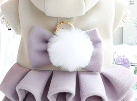 Dog coats for sale for small breeds