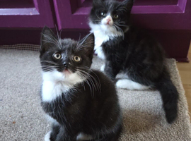 Ready to go, boy and girl