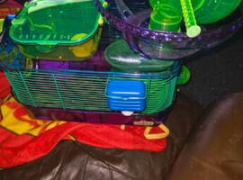 Critter  care and  cagerittertraill Accessories hamster cage