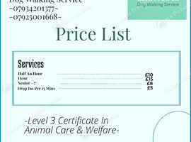 TORBAY DOG WALKING SERVICE