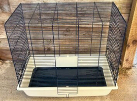 Bird cage for sale