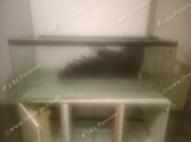 FREE FISH TANK