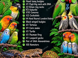 Various parrots and reptiles