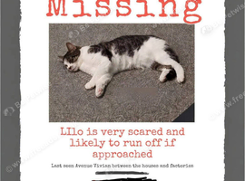 MISSING AVENUE VIVIAN HOUGHTON LE SPRING