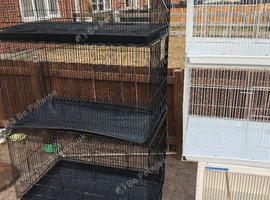 Cages for sale