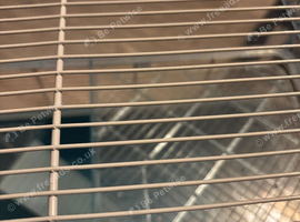 Hamster cage