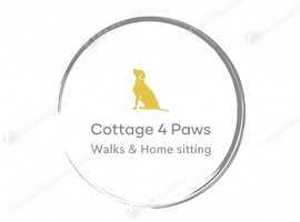 Dog sitting, dog day care & dog walking