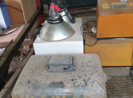 Bird incubators