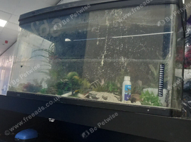 4ft aqua one tank