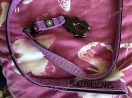 Bullybillows lead and harness