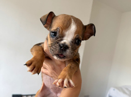 One little girl