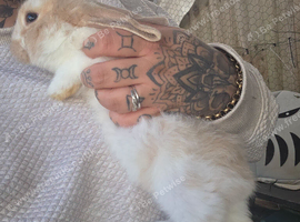 2 beautiful boys left