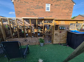 Wanted - birds to be rehomed