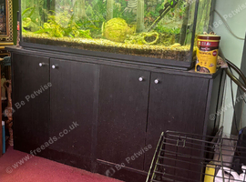TROPICAL FISH TANK AND FISH