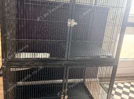 Extra large rat cage