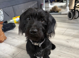 Charlie