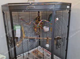 Corner cage with extra play table