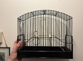 Show cages and carry bag