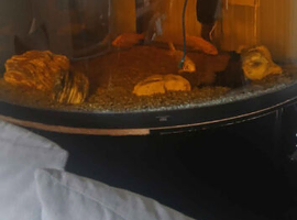 Juwel corner fish tank
