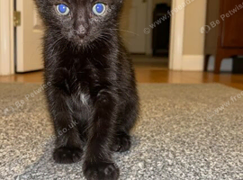 Adorable boys