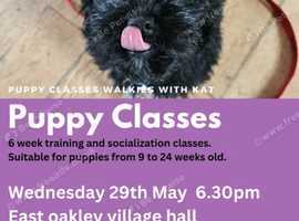 Puppy classes