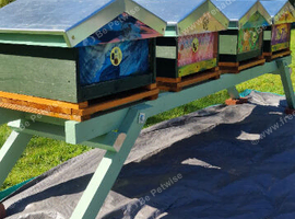 Bees For Sale
