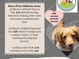 Brad's Pad Pet Sitting and Dog Walking Service