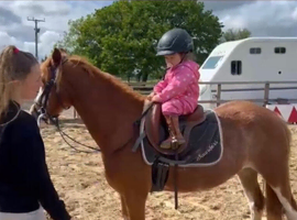 Lr/fr/pc/happy hacker/allrounder/show pony