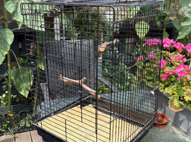 Parakeet/cockatile cage