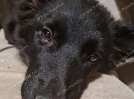 Kali