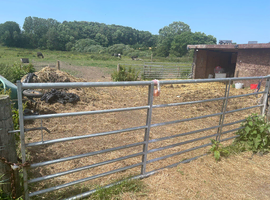 Field barn yard