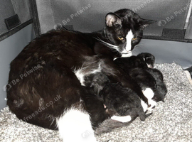 Ready to go