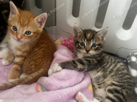 2 little cuties