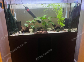 110 Litre Fish Tank.