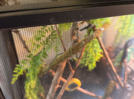 ZOO MED REPTI BREEZE SCREEN TERRARIUMS
