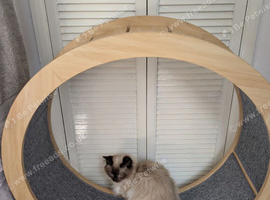 Cat wheel