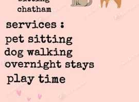 pink paws pet sitting chatham!