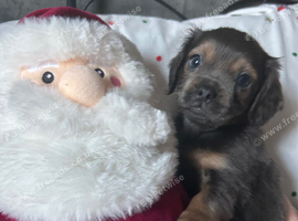 One adorable boy left