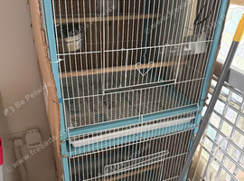 parrot cage