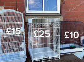 Birds cages for sale