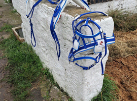 Pony harness