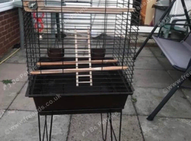 Bird cage for sale